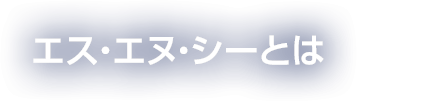 エス・エヌ・シーとは