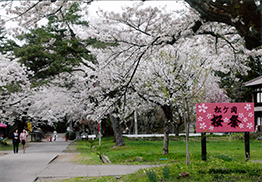 平成29年4月