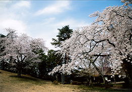 平成29年4月