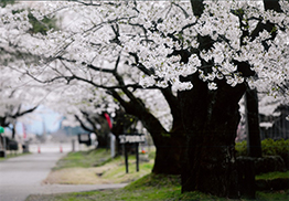 平成29年4月