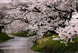 平成28年4月