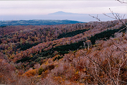 平成27年10月