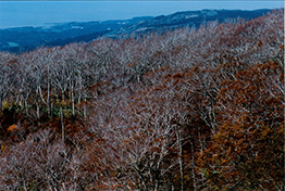 平成27年10月