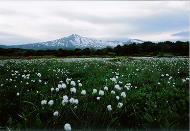 平成27年6月