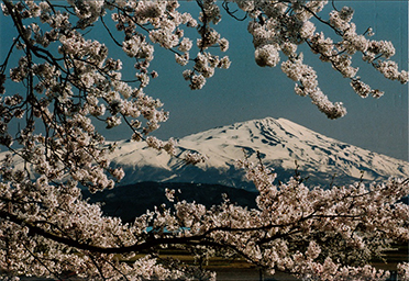 平成26年4月