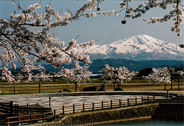 平成26年4月