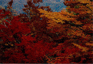 平成25年11月