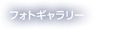 フォトギャラリー